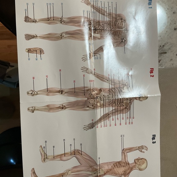 Elixing IPRO Massager IV & accessories (over $400 value) - Picture 16 of 16